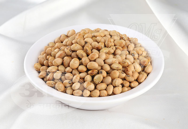 Roasted Soya Plain
