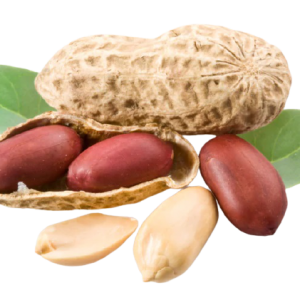 Peanuts