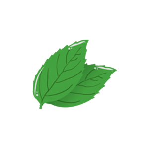 Pudina