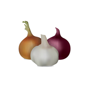 Onion and Garlic