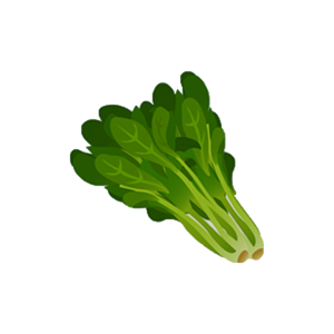 Palak