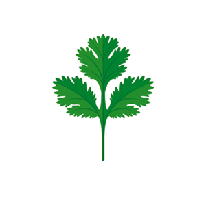 Coriander