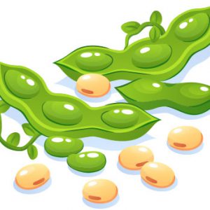 Soya